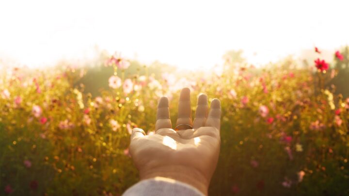 Onde reside a Esperança?