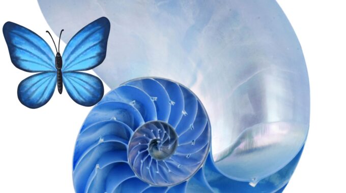 Metamorfose para uma vida melhor!