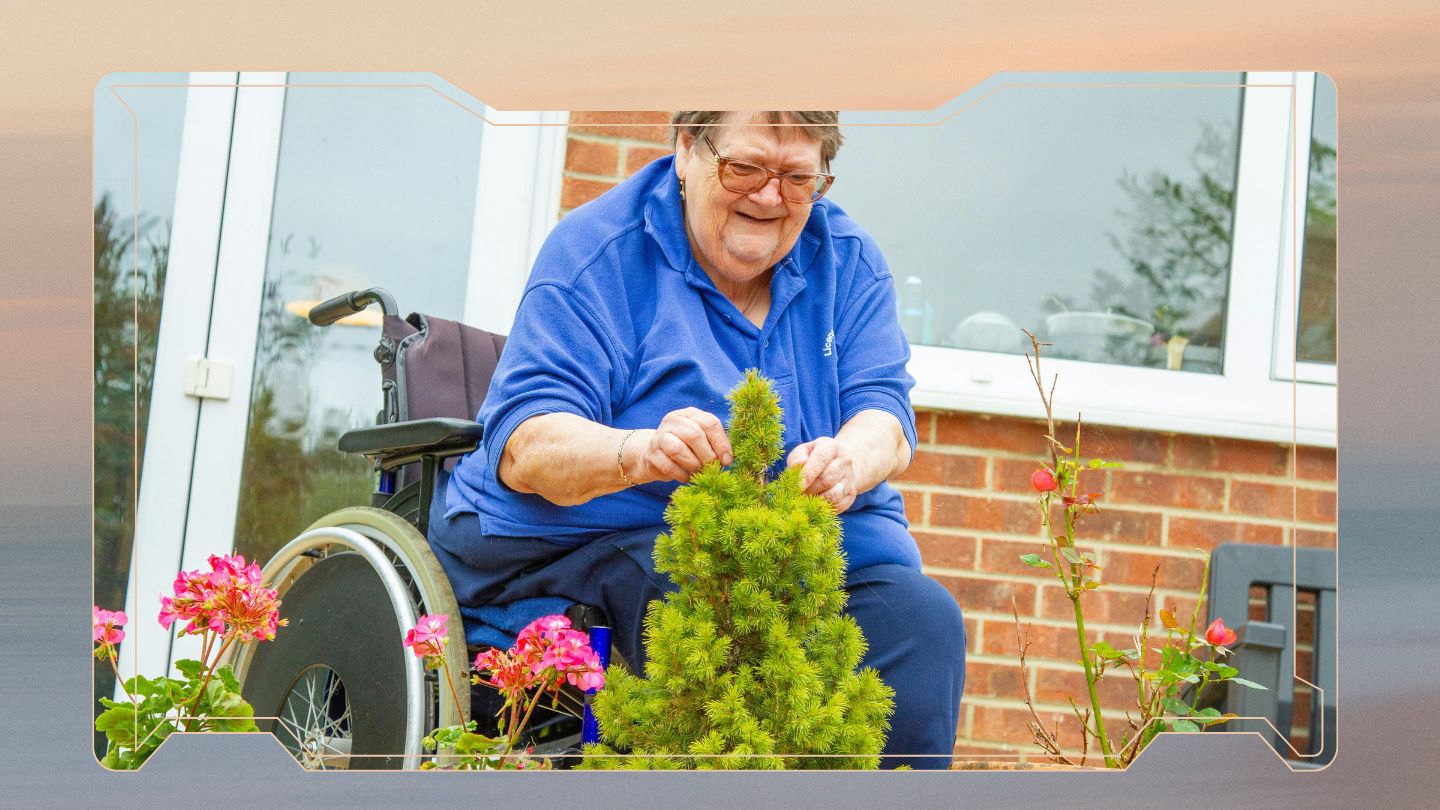 Tipo ou Sobrevivência?